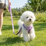 SuperBuddy Upgraded Soft Mesh Dog Harness, Super Breathable Lightweight Pet Harnesses for Puppy Dogs Outdoor Walking, Purple Dog Harness and Dog Leash Set Packing -Small