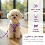 SuperBuddy Upgraded Soft Mesh Dog Harness, Super Breathable Lightweight Pet Harnesses for Puppy Dogs Outdoor Walking, Purple Dog Harness and Dog Leash Set Packing -Small