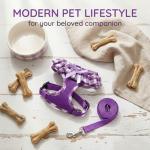 SuperBuddy Upgraded Soft Mesh Dog Harness, Super Breathable Lightweight Pet Harnesses for Puppy Dogs Outdoor Walking, Purple Dog Harness and Dog Leash Set Packing -Small