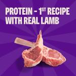 Wellness Puppy Treats, Natural, Training Treat, Grain Free, Soft Lamb & Salmon (3 Ounce Bag)