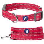 Blueberry Pet Essentials Reflective Dog Collar & Leash Set, Adjustable for Small Dogs | Safe Walking Gear for Pet Parents, Puppy Training & Daily Use SmallDogs, Very Berry