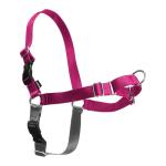 PetSafe Easy Walk Harness for Dogs - Pull-Free Walks - Patented Martingale Loop Design - Front Chest Leash Attachment - Comfort Straps - Breathable Harness Design - Large, Raspberry/Gray