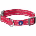 Blueberry Pet Essentials Reflective Dog Collar & Leash Set, Adjustable for Small Dogs | Safe Walking Gear for Pet Parents, Puppy Training & Daily Use SmallDogs, Very Berry