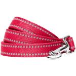 Blueberry Pet Essentials Reflective Dog Collar & Leash Set, Adjustable for Small Dogs | Safe Walking Gear for Pet Parents, Puppy Training & Daily Use SmallDogs, Very Berry