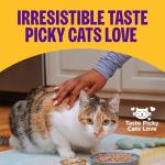 Wellness Complete Health Pate Adult Wet Cat Food, Natural, Protein-Rich, Grain-Free, 3 Ounce, 24 Pack, (Seafood Favorites Variety Pack)