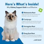 Pet Wellbeing Kidney Support Gold for Cats - Supports Normal Kidney Function & Detox, Healthy Hydration & Energy with Rehmannia & Dong Quai - NASC Certified & Vet-Formulated - 2 oz Liquid Formula