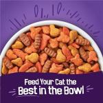 Purina Friskies Dry Cat Food, Surfin' & Turfin' Favorites - 16 lb. Bag