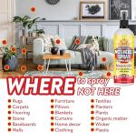 Bodhi Dog Not Here! Spray & Potty Training Spray - Dog Training Corrector for Indoor/Outdoor Use - Stops Urination & Marking - Housebreaking Solution Bundle for Dogs & Puppies (8 Fl Oz)