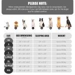 Spotted Play Orthopedic Dog Bed with Sides - Dog Sofa Beds for Medium Dogs, Supportive Foam Pet Couch Bed with Washable Removable Cover, Waterproof Lining and Non-Slip Bottom, Grey - M