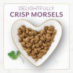 Purina Fancy Feast Dry Cat Food with Savory Farm-Raised Chicken and Turkey - 7 lb. Bag