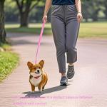 Siumouhoi 6 FT Puppy Leashes, Strong Traditional Style Leash with Easy to Use Collar Hook,Dog Lead Great for Small and Medium and Large Dog (Pink, 5/8 in x 6 ft)