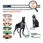 waaag Pet, Moons Stars Suns Dog Collar Cat Collar, Multiple Designs Crescent Celestial Dog Cat Collar Leash Harness Medium (Pack of 1)