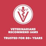 IAMS Dry Dog Food Lamb and Rice Proactive Health Food for Dogs, 15.0 lb