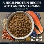 Taste Of The Wild Ancient Stream Canine Recipe With Smoke-Flavored Salmon And Ancient Grains 28lb