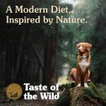 Taste Of The Wild Ancient Stream Canine Recipe With Smoke-Flavored Salmon And Ancient Grains 28lb