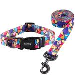 Ihoming Puppy Collar and Leash Set for Daily Outdoor Walking Running Training, Geometric Design for Extra Small Boys Girls Dogs Cats Pets, XS-Up to 10LBS