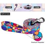 Ihoming Puppy Collar and Leash Set for Daily Outdoor Walking Running Training, Geometric Design for Extra Small Boys Girls Dogs Cats Pets, XS-Up to 10LBS