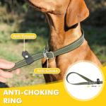 XiaZ 6FT Dog Leash with Comfortable Flat Collar and Soft Padded Handle,Nylon Reflective Double Handle No Pull Leash for Small Medium Large Dogs, Training Walking Running (Green)