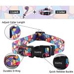 Ihoming Puppy Collar and Leash Set for Daily Outdoor Walking Running Training, Geometric Design for Extra Small Boys Girls Dogs Cats Pets, XS-Up to 10LBS