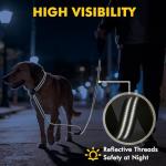 XiaZ 6FT Dog Leash with Comfortable Flat Collar and Soft Padded Handle,Nylon Reflective Double Handle No Pull Leash for Small Medium Large Dogs, Training Walking Running (Green)