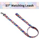 Ihoming Puppy Collar and Leash Set for Daily Outdoor Walking Running Training, Geometric Design for Extra Small Boys Girls Dogs Cats Pets, XS-Up to 10LBS