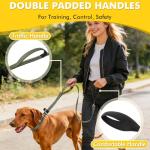 XiaZ 6FT Dog Leash with Comfortable Flat Collar and Soft Padded Handle,Nylon Reflective Double Handle No Pull Leash for Small Medium Large Dogs, Training Walking Running (Green)