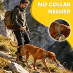 XiaZ 6FT Dog Leash with Comfortable Flat Collar and Soft Padded Handle,Nylon Reflective Double Handle No Pull Leash for Small Medium Large Dogs, Training Walking Running (Green)