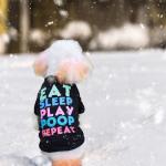 KATOLK 6 Pack Dog Clothes for Small Dogs Boy and Girl, Soft and Breathable Puppy Kitten Dog Shirts with Letters for Pet Cats, Winter Dogs' T-Shirts Apparel Sleeveless Vests for Chihuahua Yorkies