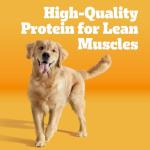 Pedigree High Protein Beef & Lamb Dog Kibble 18 lb