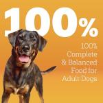 Pedigree High Protein Beef & Lamb Dog Kibble 18 lb