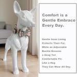 SuperBuddy Dog Collar and Leash,Breathable Adjustable Dog Collar-Safe Buckle-Collars for Small Medium Large Pet