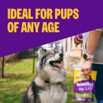 Wellness Rewarding Life Dog Treats, Training Treat, Grain Free, Soft Beef & Turkey (6 Ounce Bag)