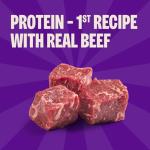 Wellness Rewarding Life Dog Treats, Training Treat, Grain Free, Soft Beef & Turkey (6 Ounce Bag)