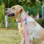 Olahibi Dog Collar Leash Set, Leopard Pattern, Polyester Material, Adjustable Collar and 5ft Matching Leash, for Small Dogs.(S, Pink Leopard)