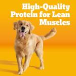 Pedigree Adult Dry Dog Food, Chicken & Veggies