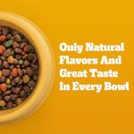 Pedigree Adult Dry Dog Food, Chicken & Veggies