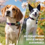 DILLYBUD Dog Collar and Leash Set for Small Dogs, Adjustable Soft Puppy Collar with Quick Release Buckle, 5FT Heavy Duty Nylon Matching Leash for Boy Girl Chihuahua, Yorki, Bulldog, Leopard XS