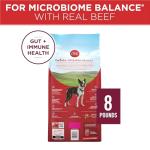 Purina ONE Small Bites Beef and Rice Formula Small High Protein Dry Dog Food Natural With Added Vitamins, Minerals and Nutrients - 8 lb. Bag