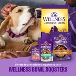 Wellness Complete Health Dry Dog Food, Wholesome Grains, Natural, Beef & Barley Recipe, (5-Poud Bag)