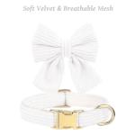 RoseYouth Dog Collar and Leash Set with Bowtie, Girl Dog Collars Metal Buckle Adjustable for Small Medium Dogs (White, M: Neck 13"-22" Leash 5 FT)