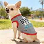 4 Pieces Dog Clothes for Small Dogs Girl Boy Summer Puppy Clothes for Chihuahua Yorkie Soft Cute Pattern Dog Shirt Spring Pet Cat Clothing Pink Rose Red Green XXS~M (Grey,Red,Black,Green, Medium)