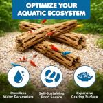 SunGrow Cholla Wood, 6” Climbing Logs, Chew Toy, Aquarium Fish, Snail, and Shrimp Driftwood, Tropical Freshwater Fish Décor, Adds Raw Beauty, 3 Pack