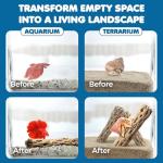 SunGrow Cholla Wood, 6” Climbing Logs, Chew Toy, Aquarium Fish, Snail, and Shrimp Driftwood, Tropical Freshwater Fish Décor, Adds Raw Beauty, 3 Pack