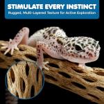 SunGrow Cholla Wood, 6” Climbing Logs, Chew Toy, Aquarium Fish, Snail, and Shrimp Driftwood, Tropical Freshwater Fish Décor, Adds Raw Beauty, 3 Pack