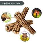 SunGrow Cholla Wood, 6” Climbing Logs, Chew Toy, Aquarium Fish, Snail, and Shrimp Driftwood, Tropical Freshwater Fish Décor, Adds Raw Beauty, 3 Pack