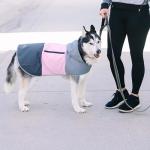 Eddie Bauer E24232S Ravenna Colorblocked Dog Windbreaker Jacket in Small, Grey and Pink
