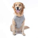 Fetch for Pets Star Wars Gray Yoda Tank Dog T-Shirt, X-Small