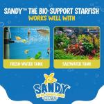 Tank Pals: Sandy The Bio-Support Starfish - 1 Pack, Yellow- Promotes A Healthy Balanced Aquarium Ecosystem, Probiotic Growth, Tank Environment Control