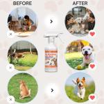 Qucship 16oz Effective Dog Stay Away Spray for Training – Psafe Pet Training Aid to Stop Inappropriate Peeing - Stop Dog Urinating in House with No More Peeing in House