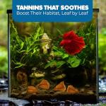 SunGrow 50 pcs Catappa Indian Almond Leaves – 2” Water Conditioner for Betta Fish Tank, Aquarium Leaf for Fish Breeding, Shrimp, Goldfish, Guppy & Frogs